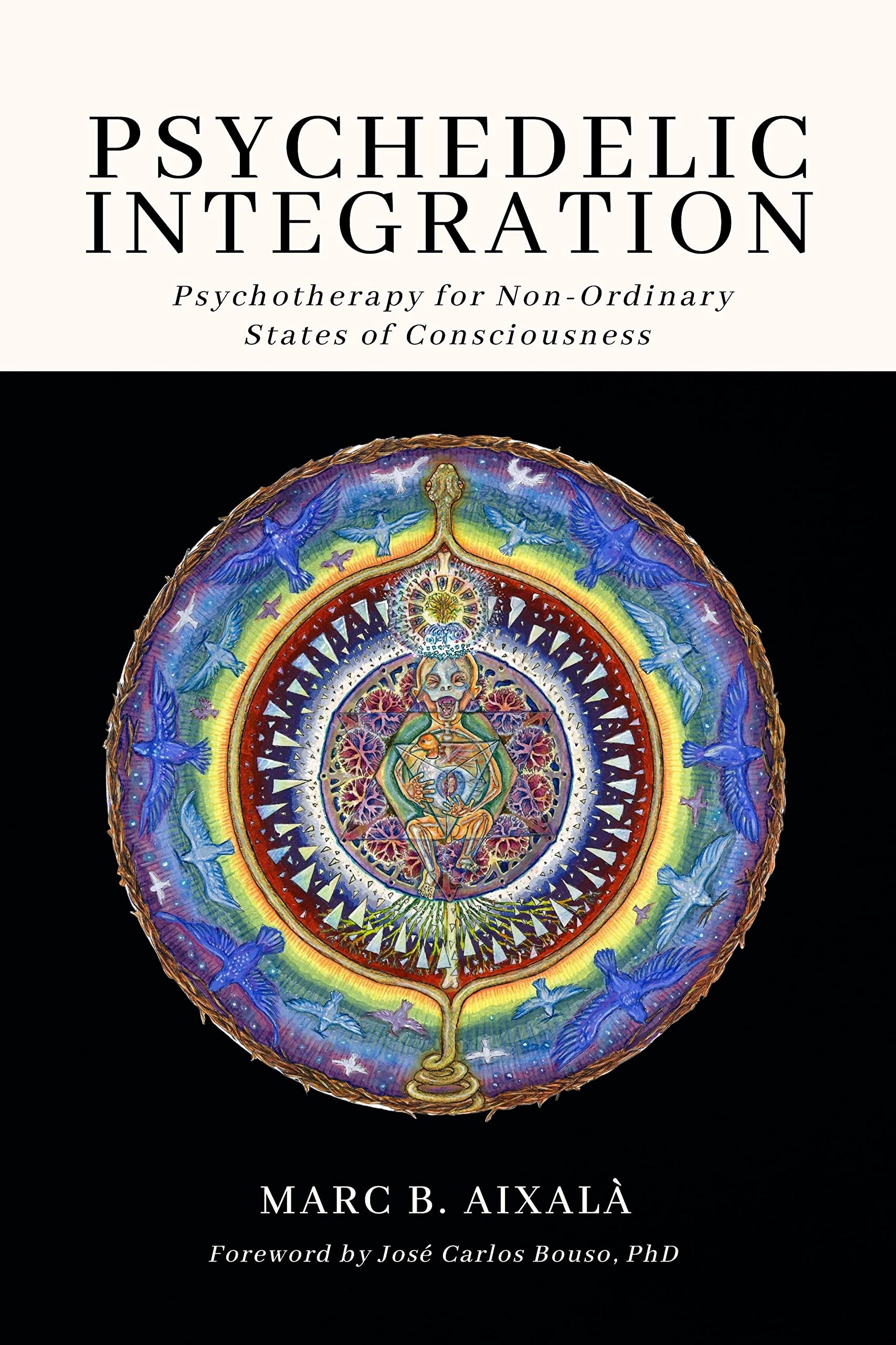 Psychedelic Integration: Psychotherapy for Non-Ordinary States of